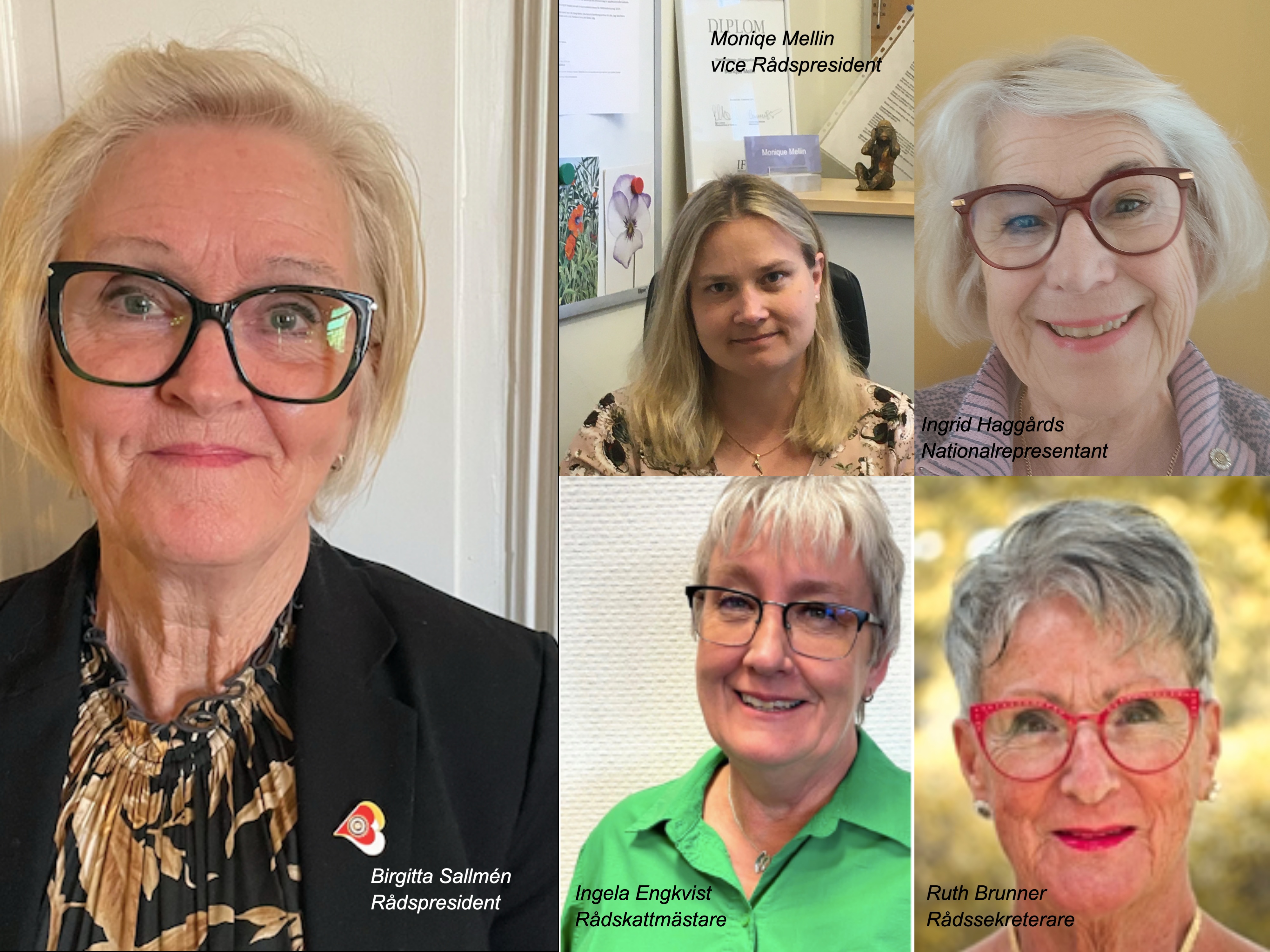 Rådet 2025 - 2026